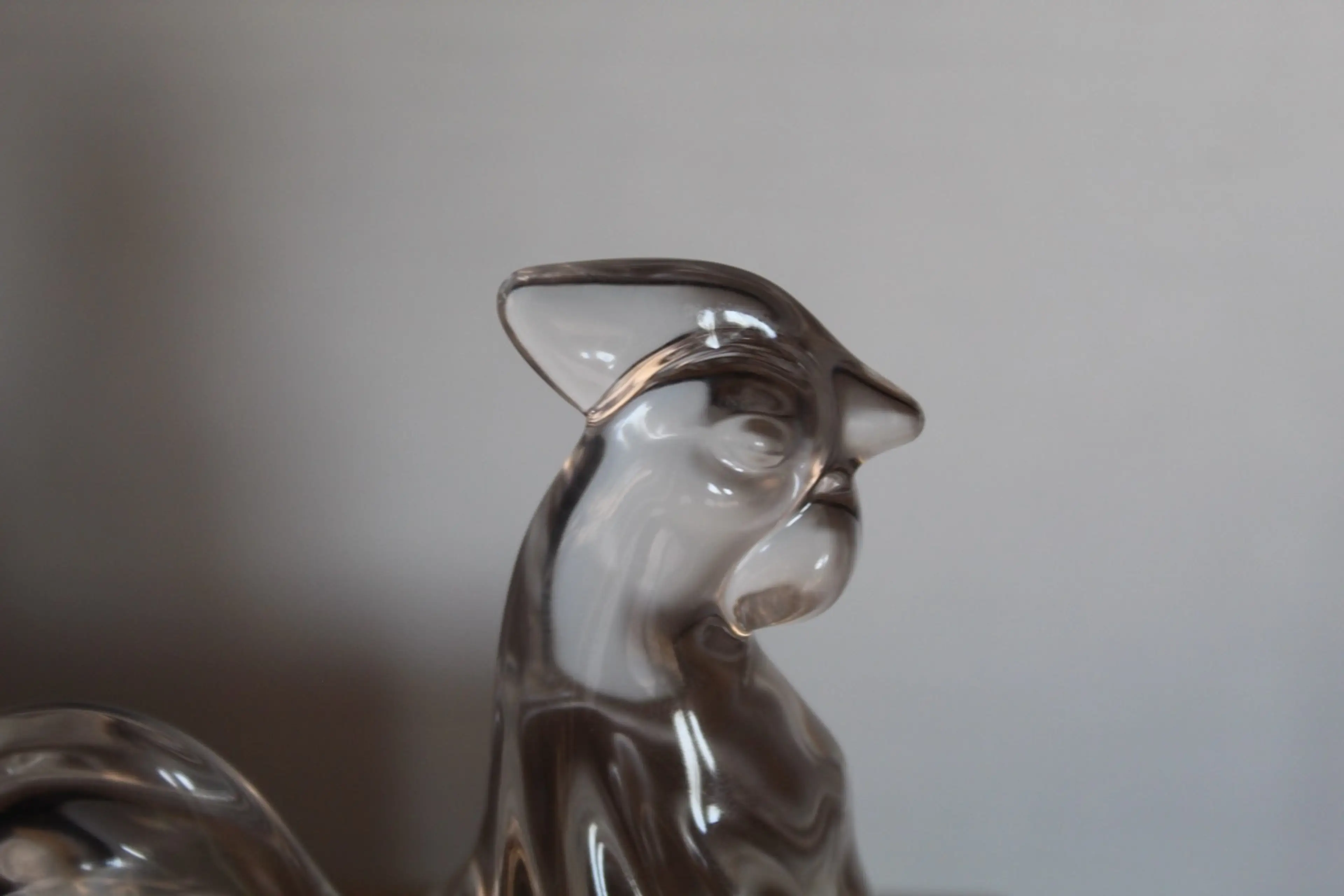 Image 5 of 7