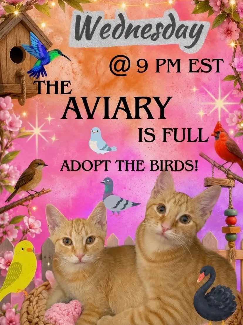 Livestream thumbnail