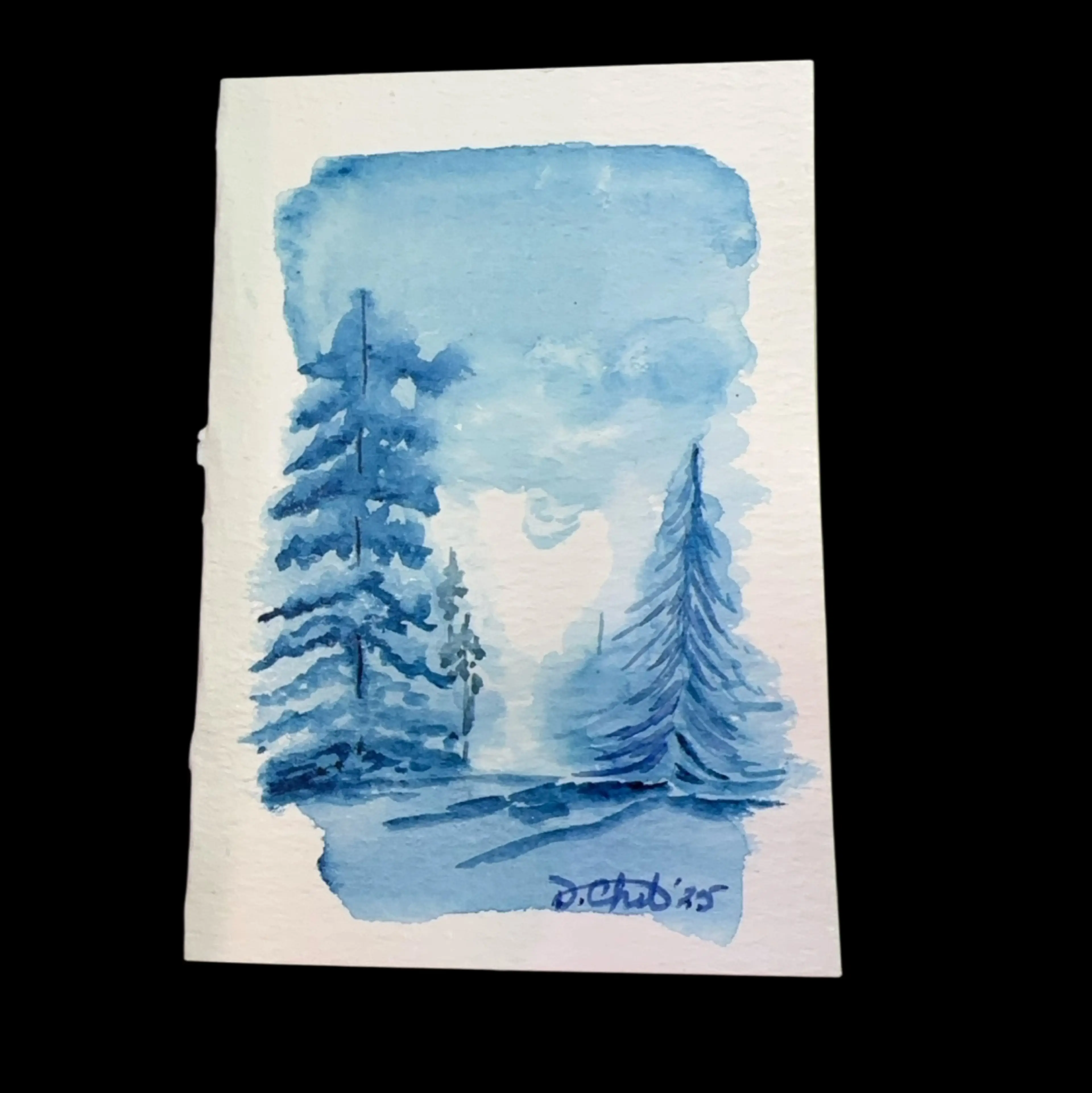 Image 5 of 5