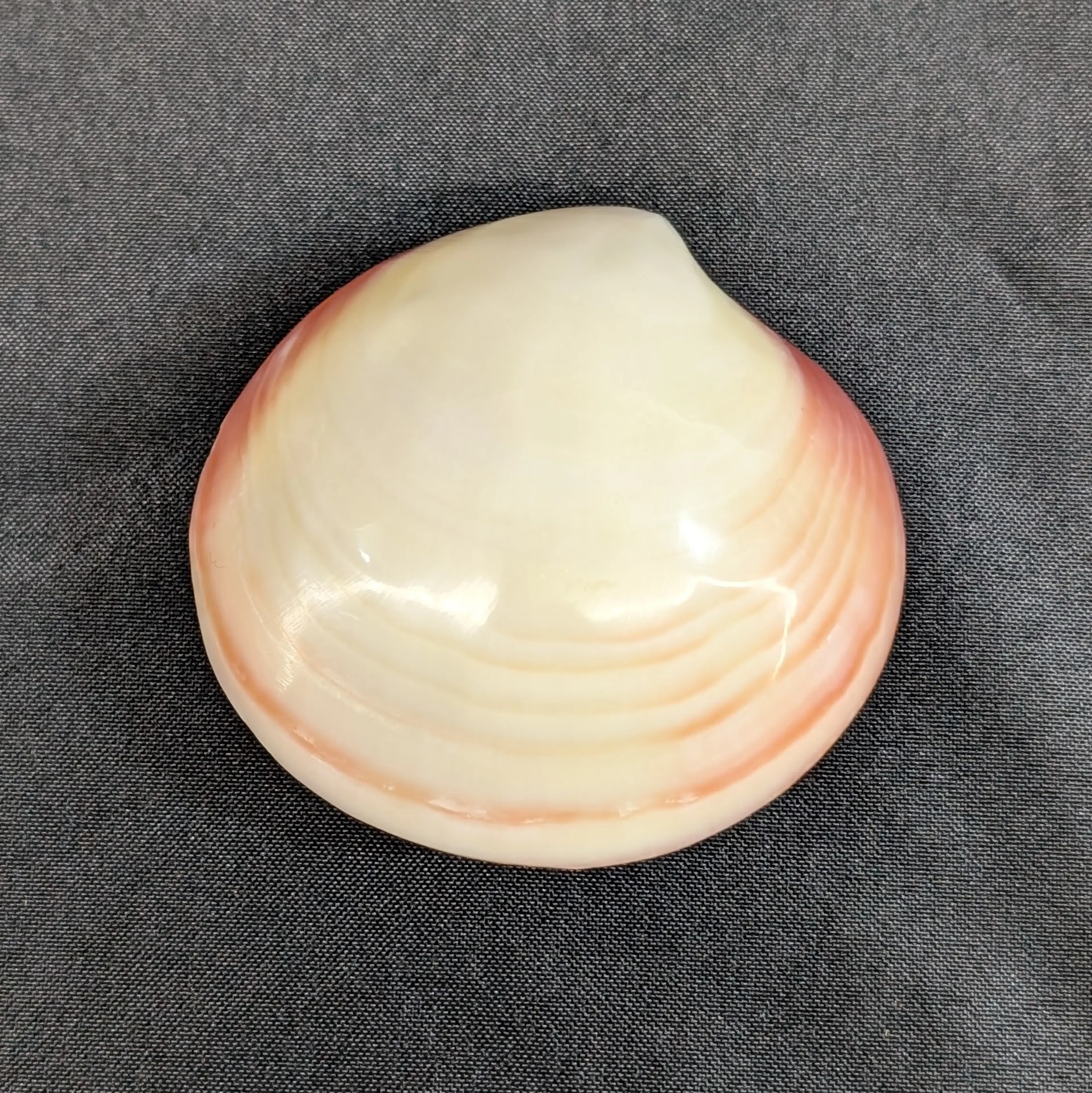Image 5 of 10