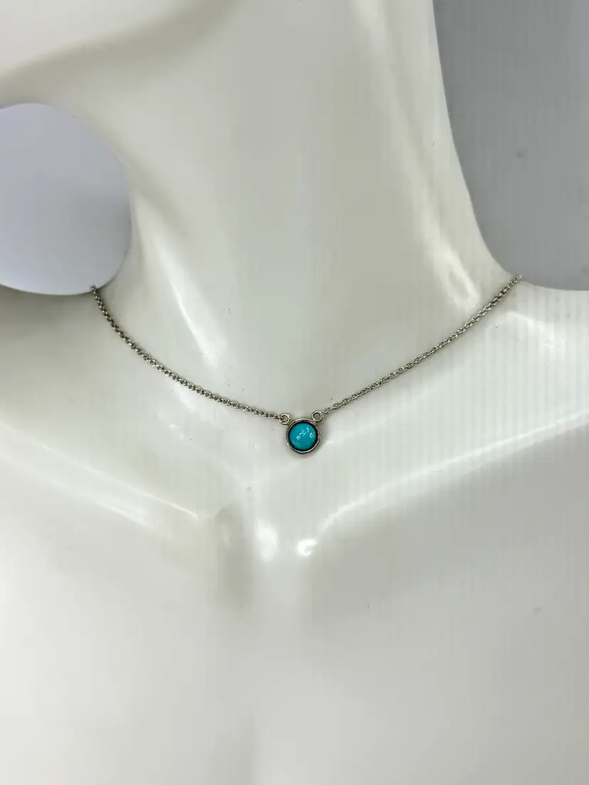 Tiffany & Co. Elsa Peretti Color by the Yard Turquoise Sterling Necklace JR2027