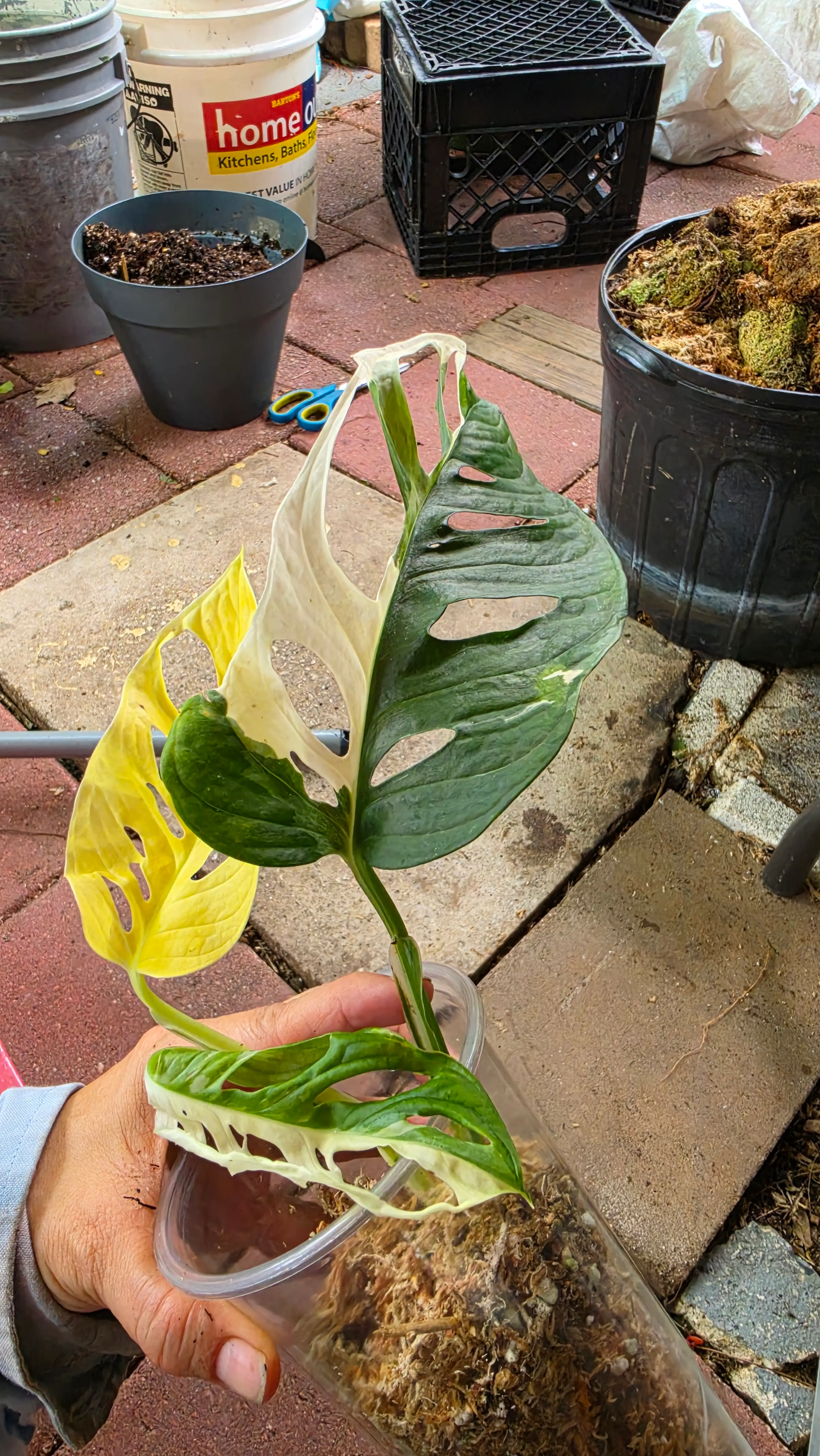 Image 1 of 1