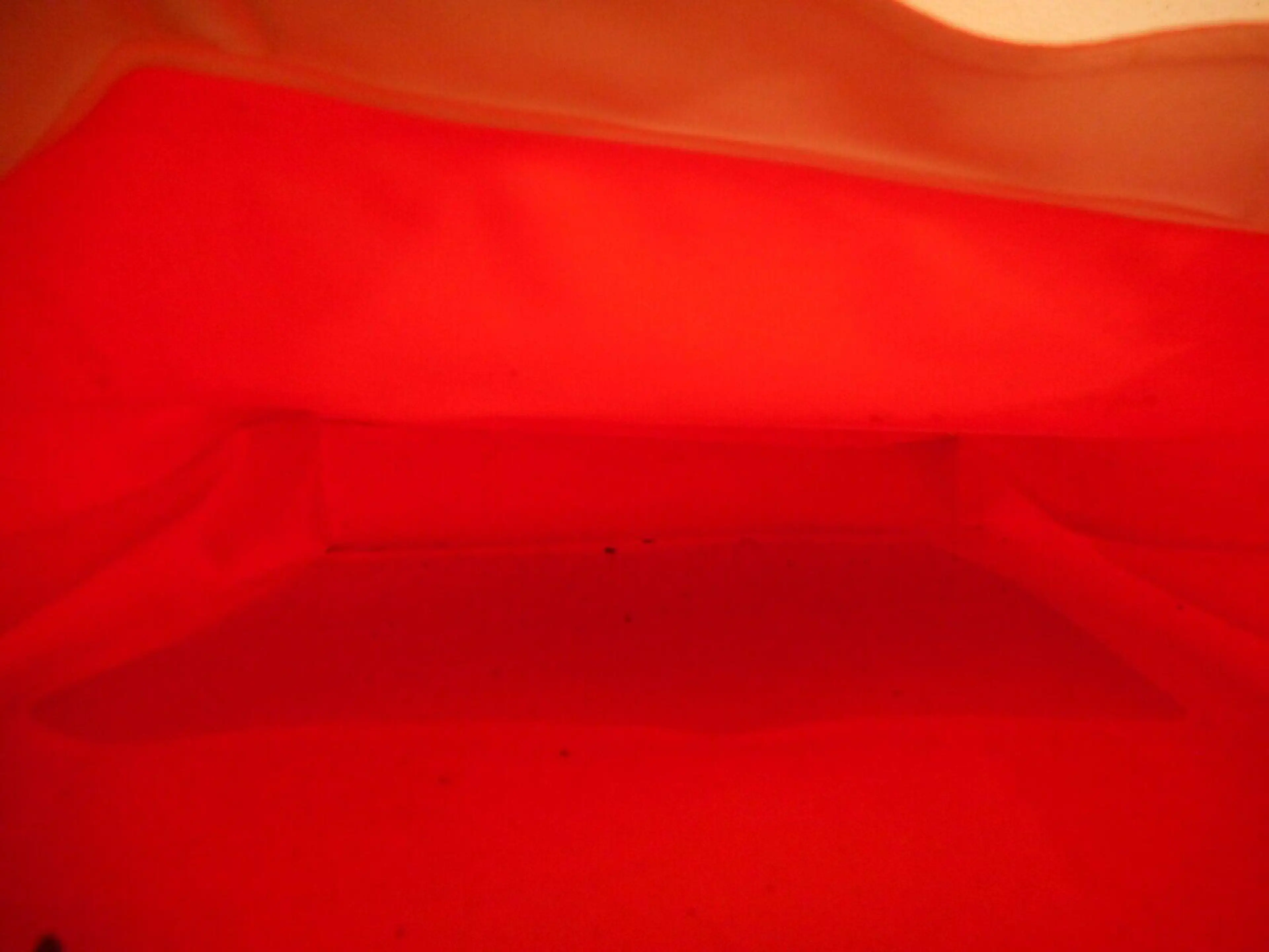 Image 4 of 5