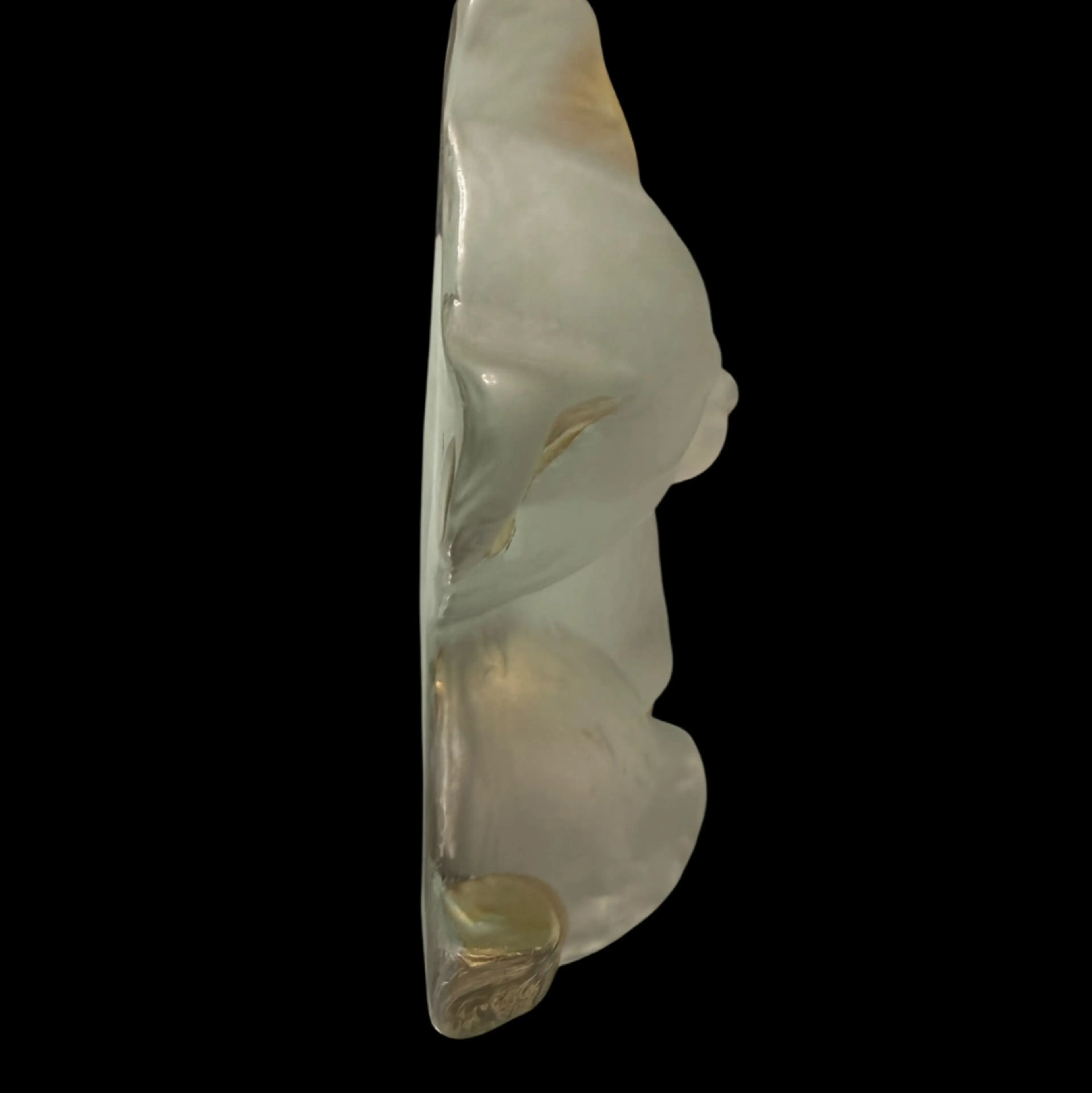 Image 2 of 5