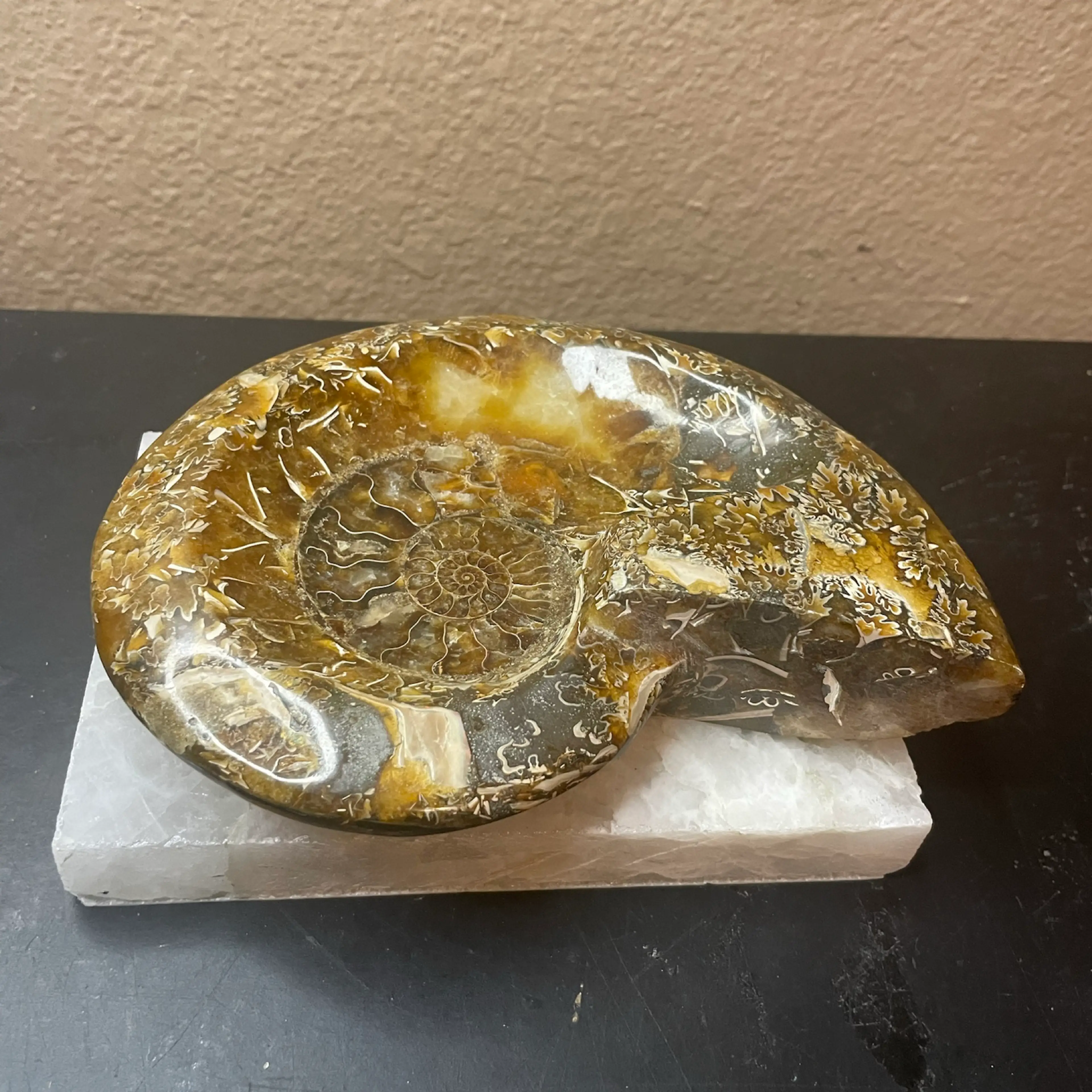 Image 3 of 6