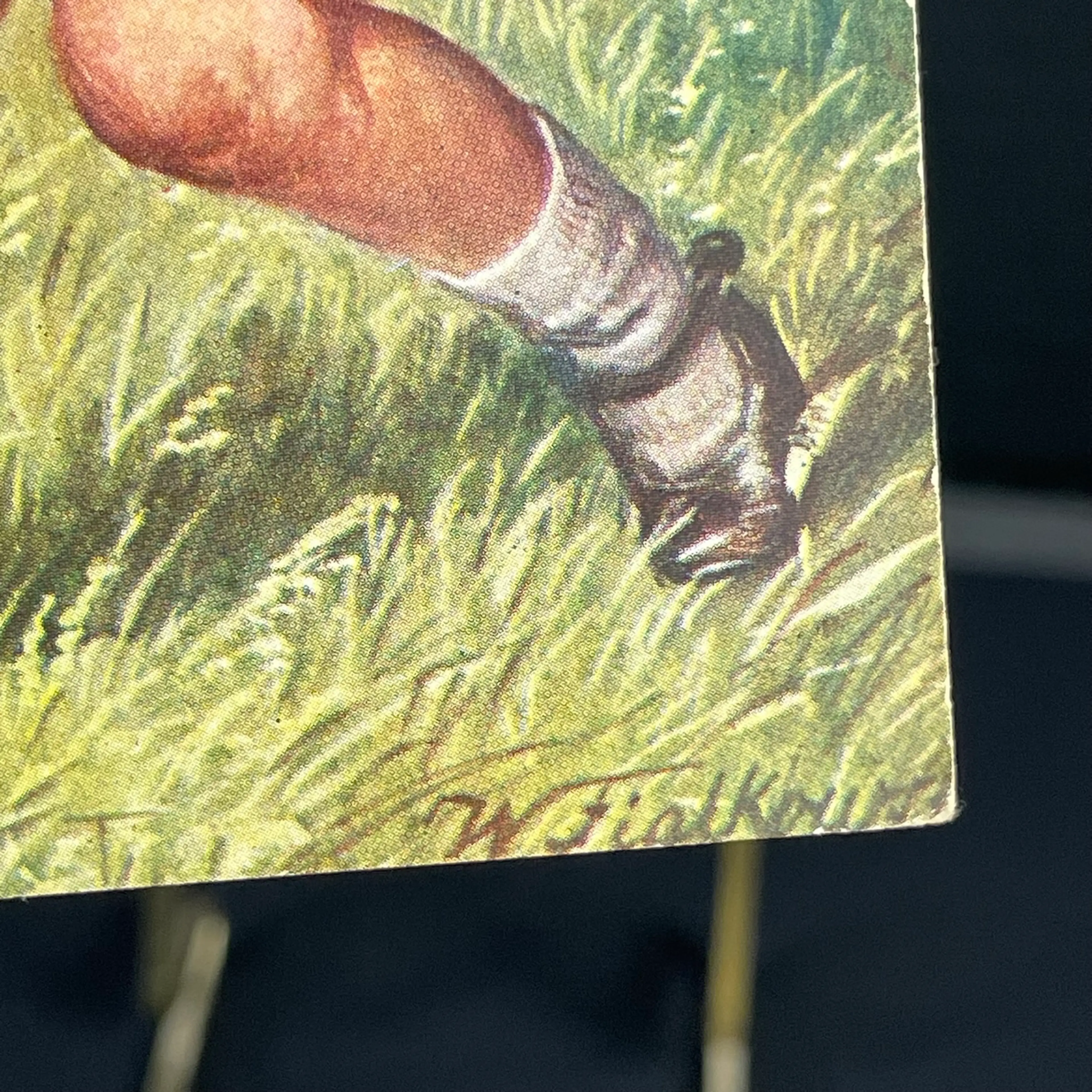 Image 3 of 7