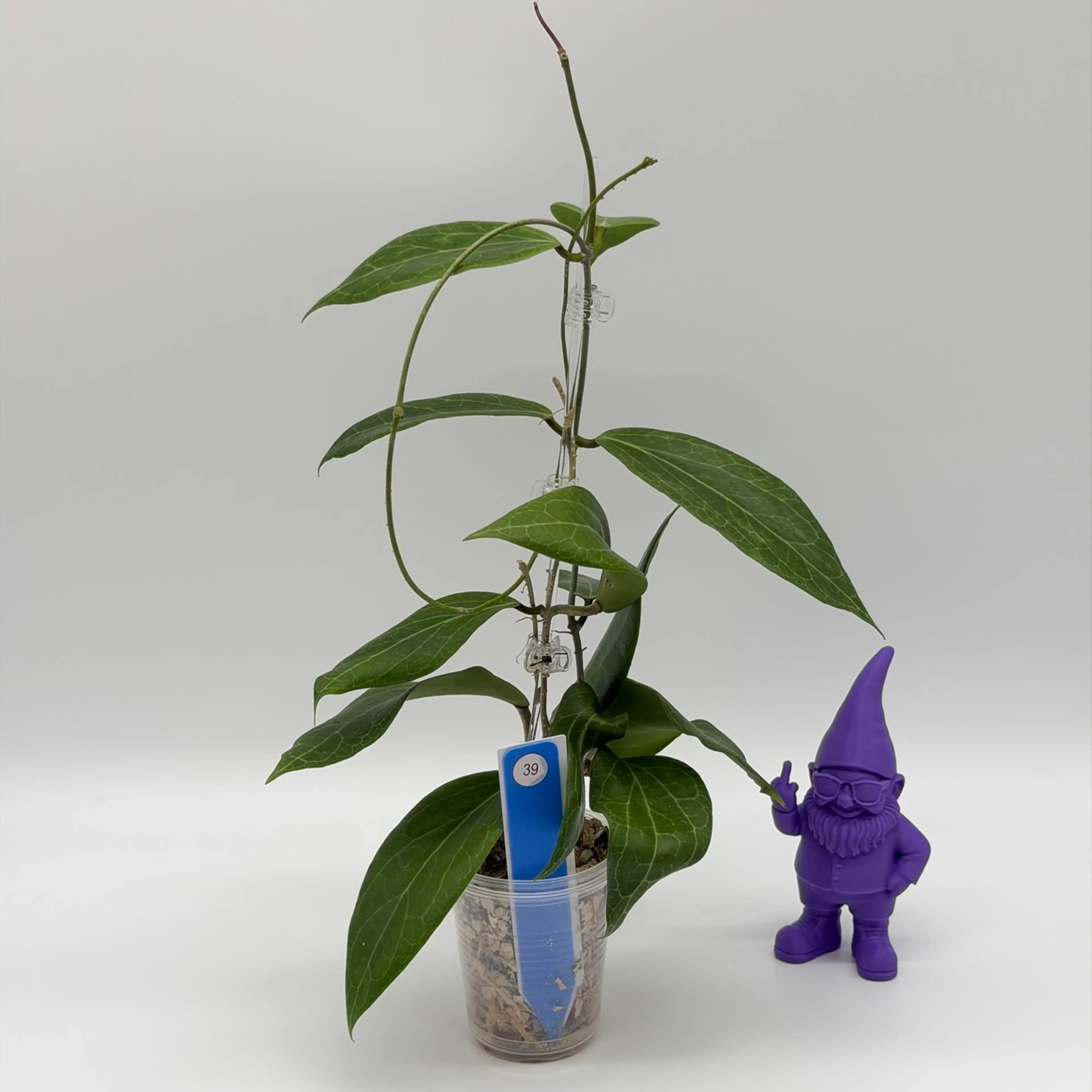 Image 3 of 4