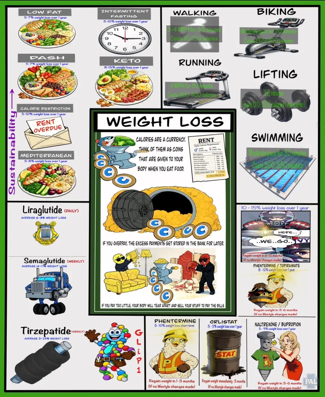 Weight Loss Patient Education Chart | Diet, Exercise, GLP-1 (Digital Download)