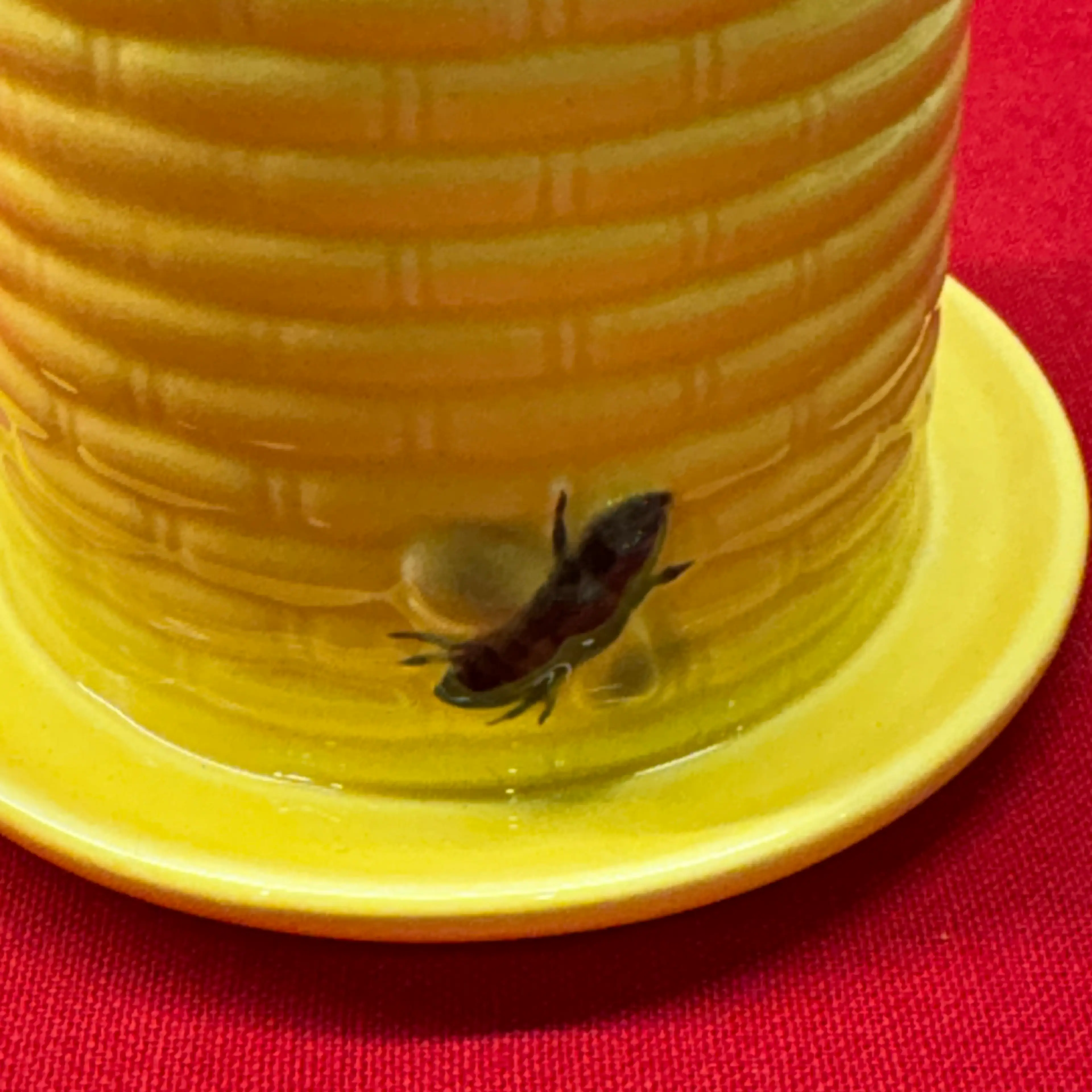 Image 2 of 9