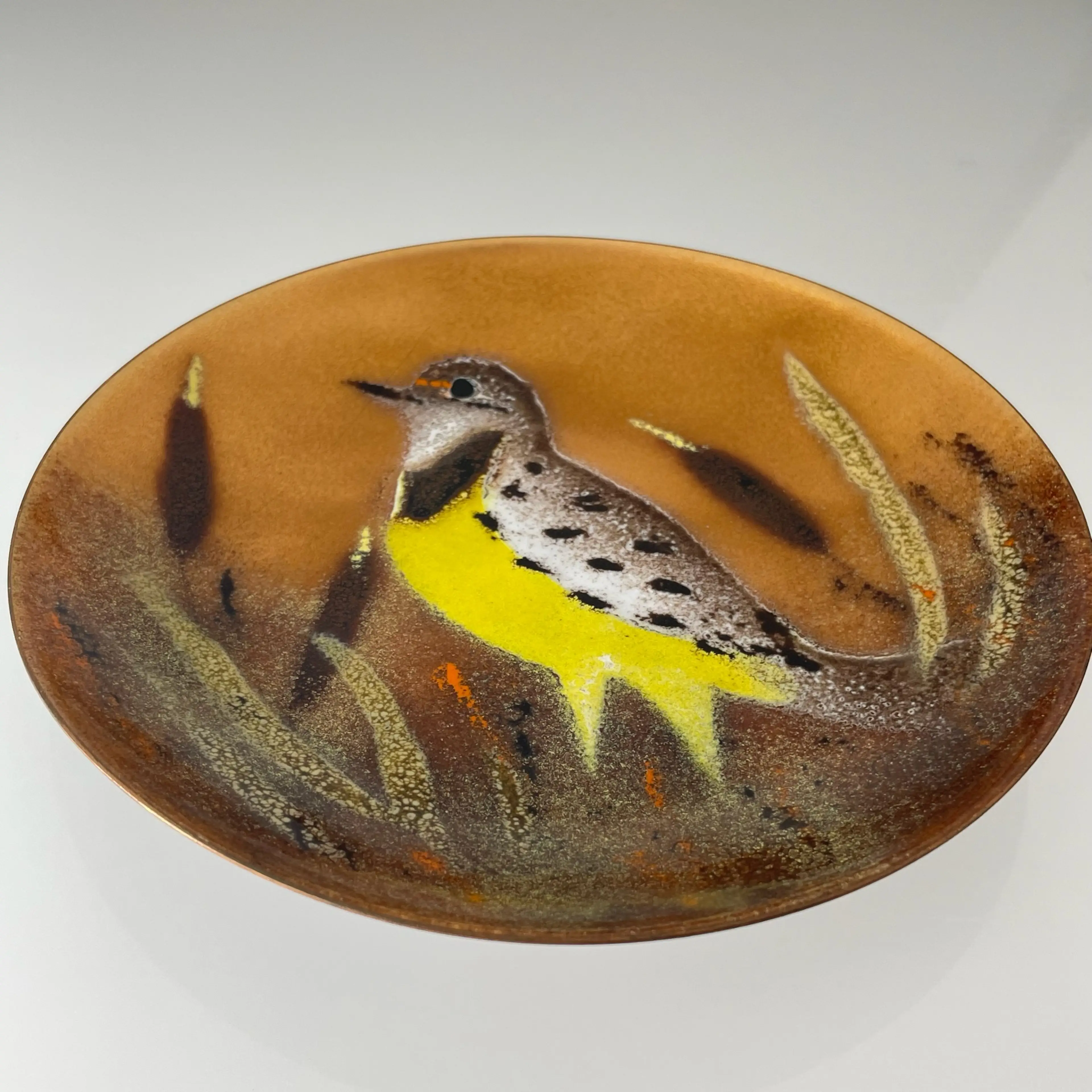 Image 2 of 8