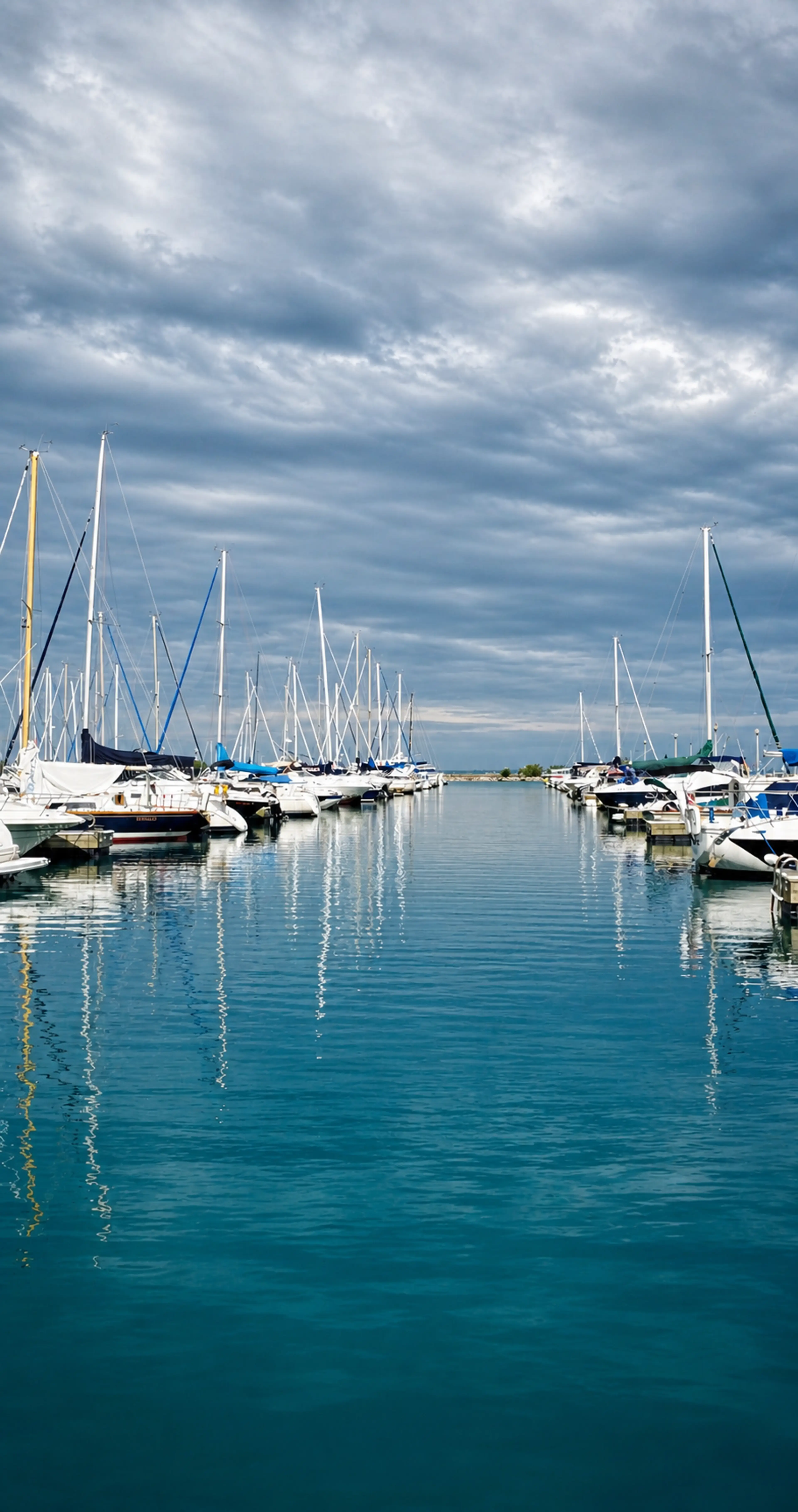 Marina harbor scene