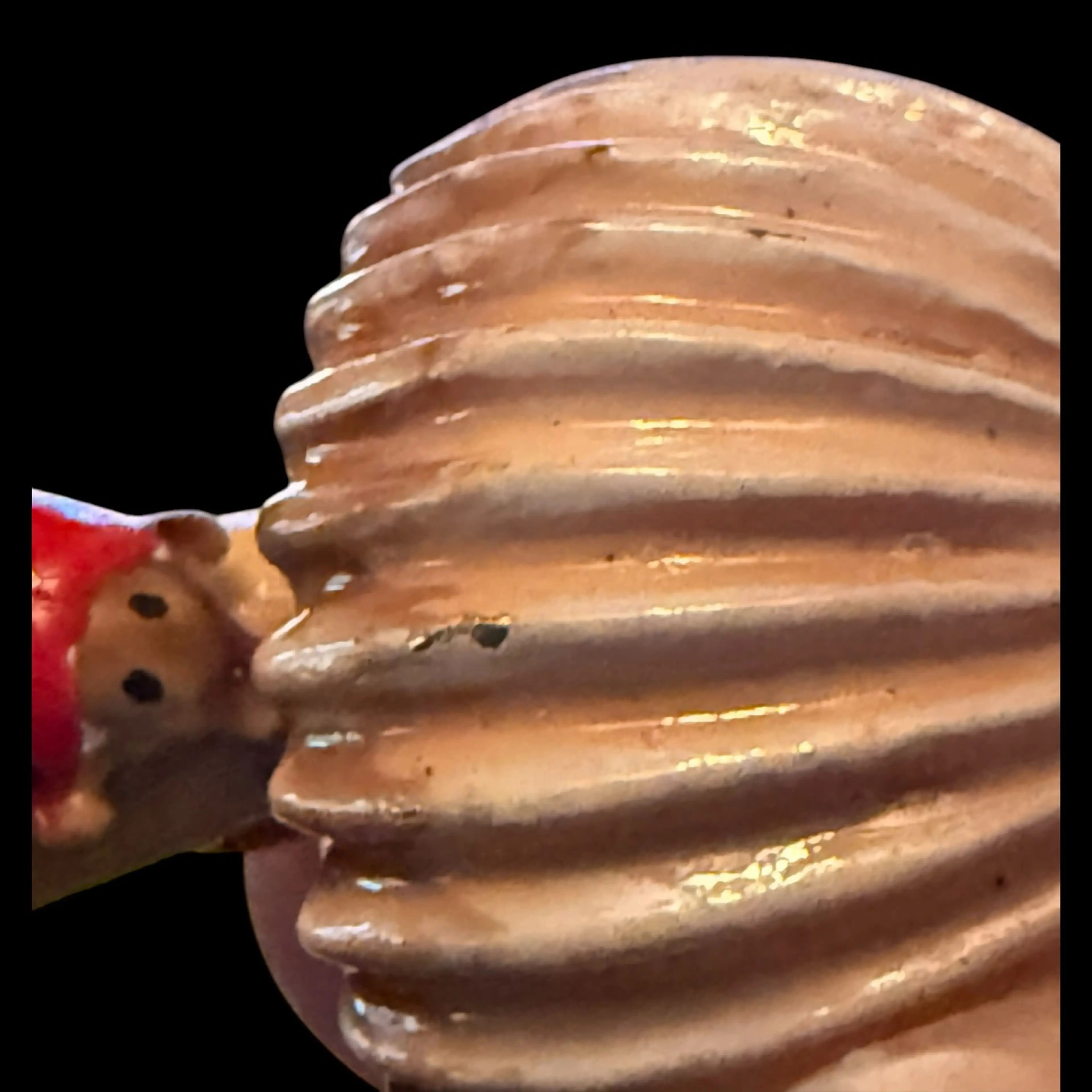 Image 4 of 6