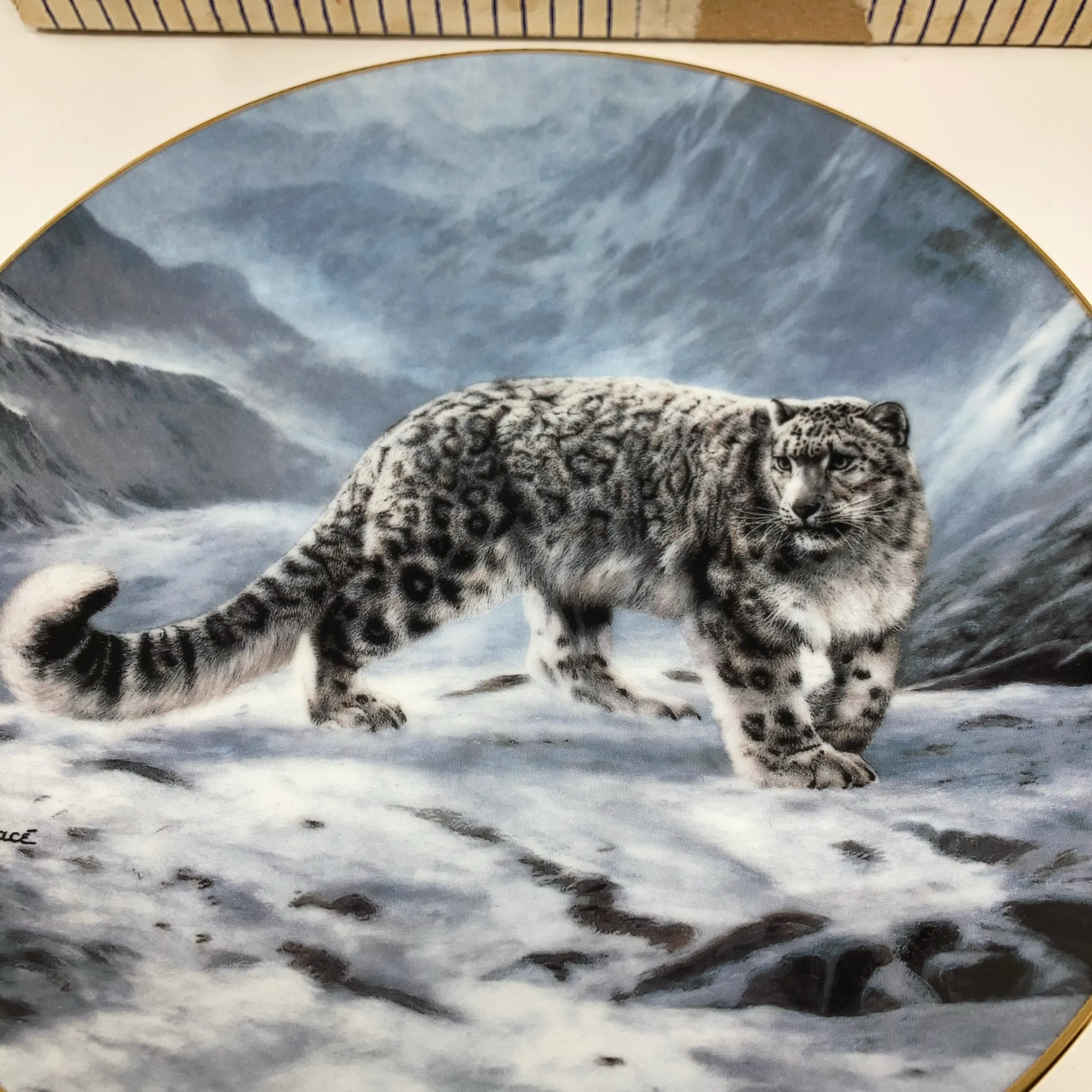 Image 3 of 11