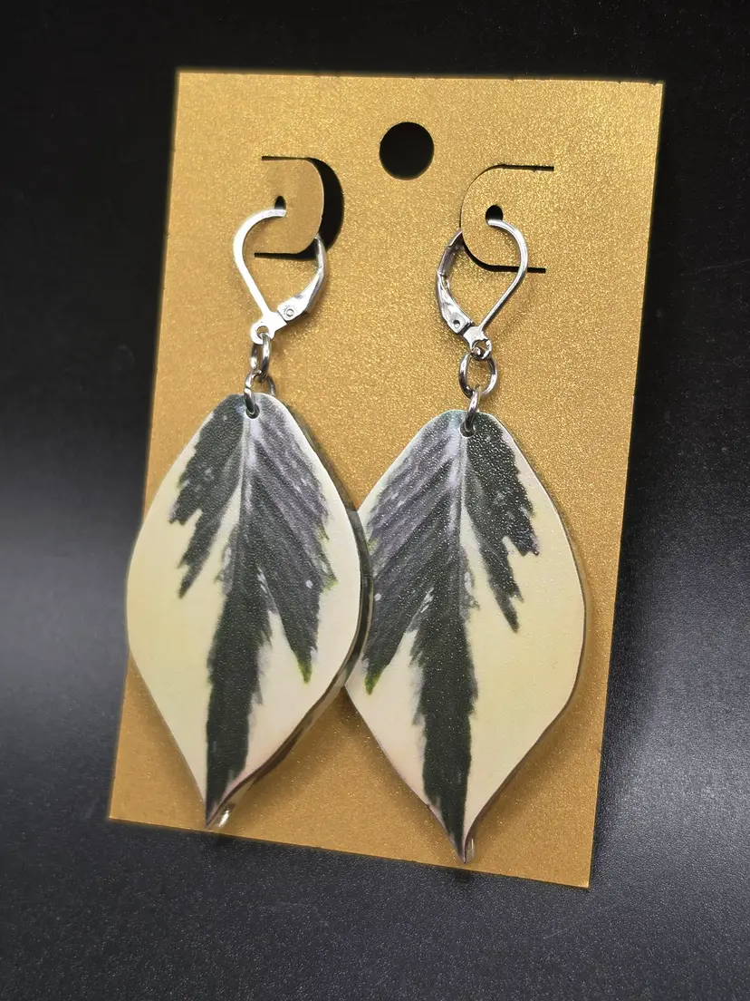 Outer Variegated Polyneura Earrings