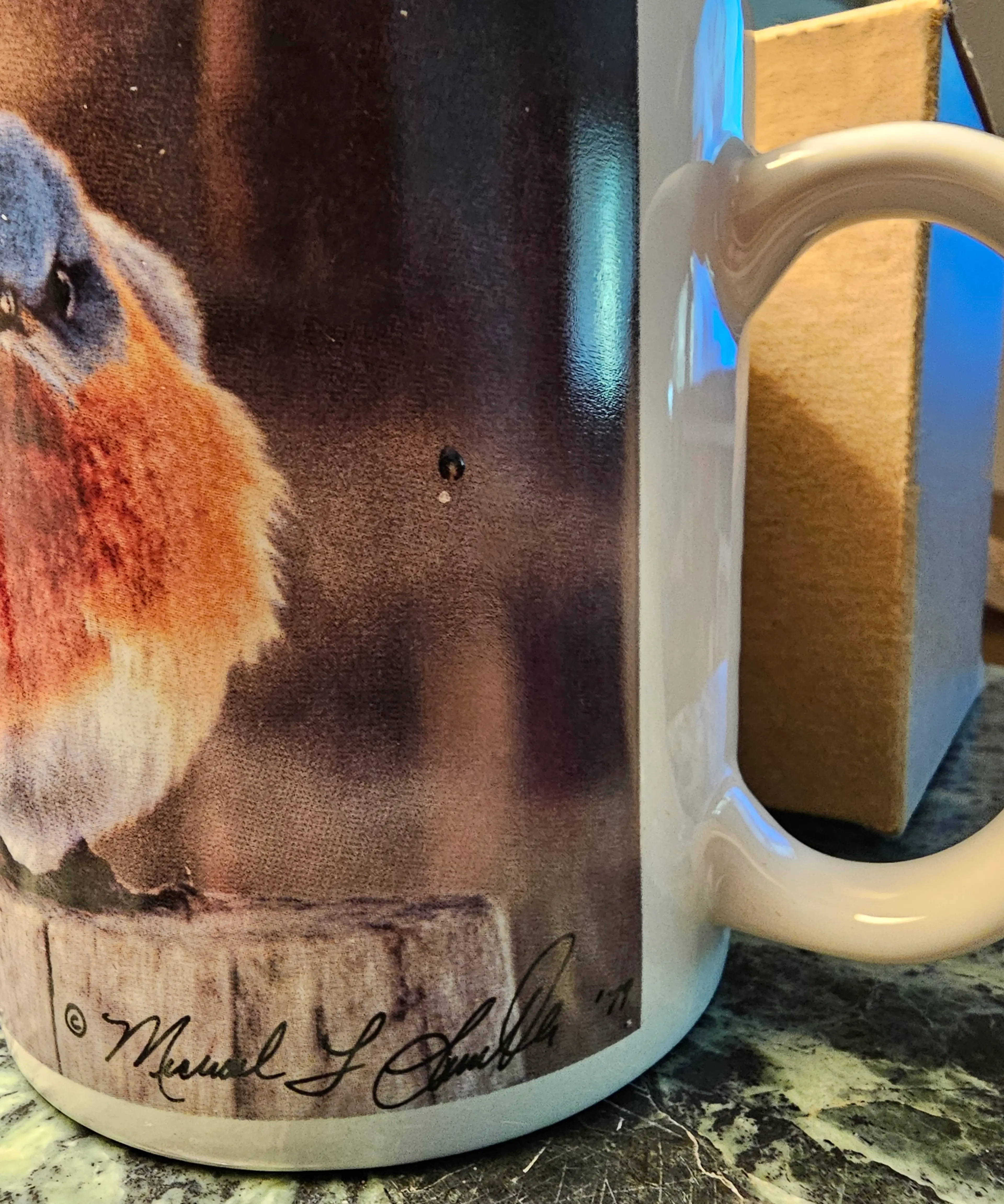Image 2 of 6