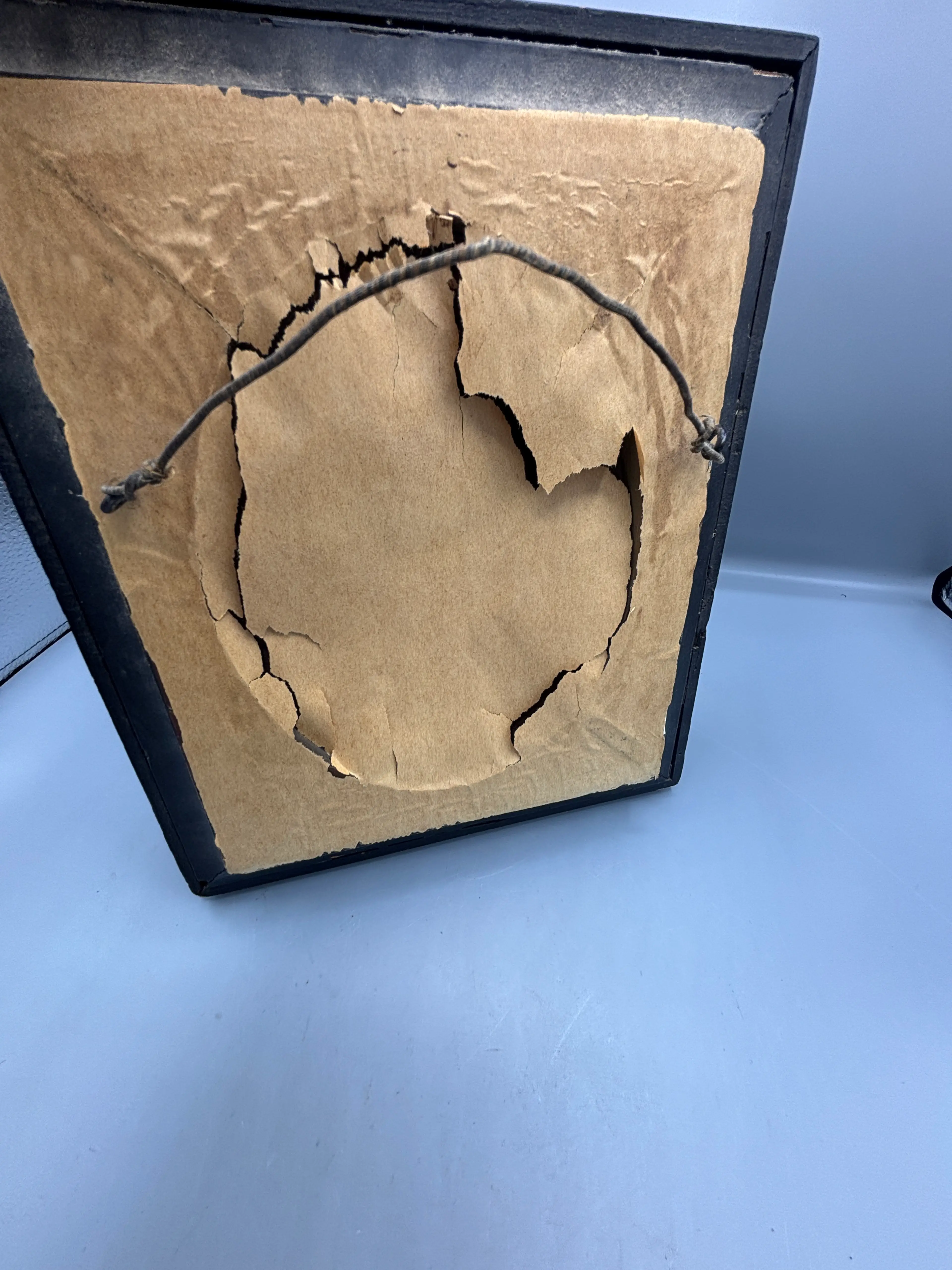 Image 4 of 7