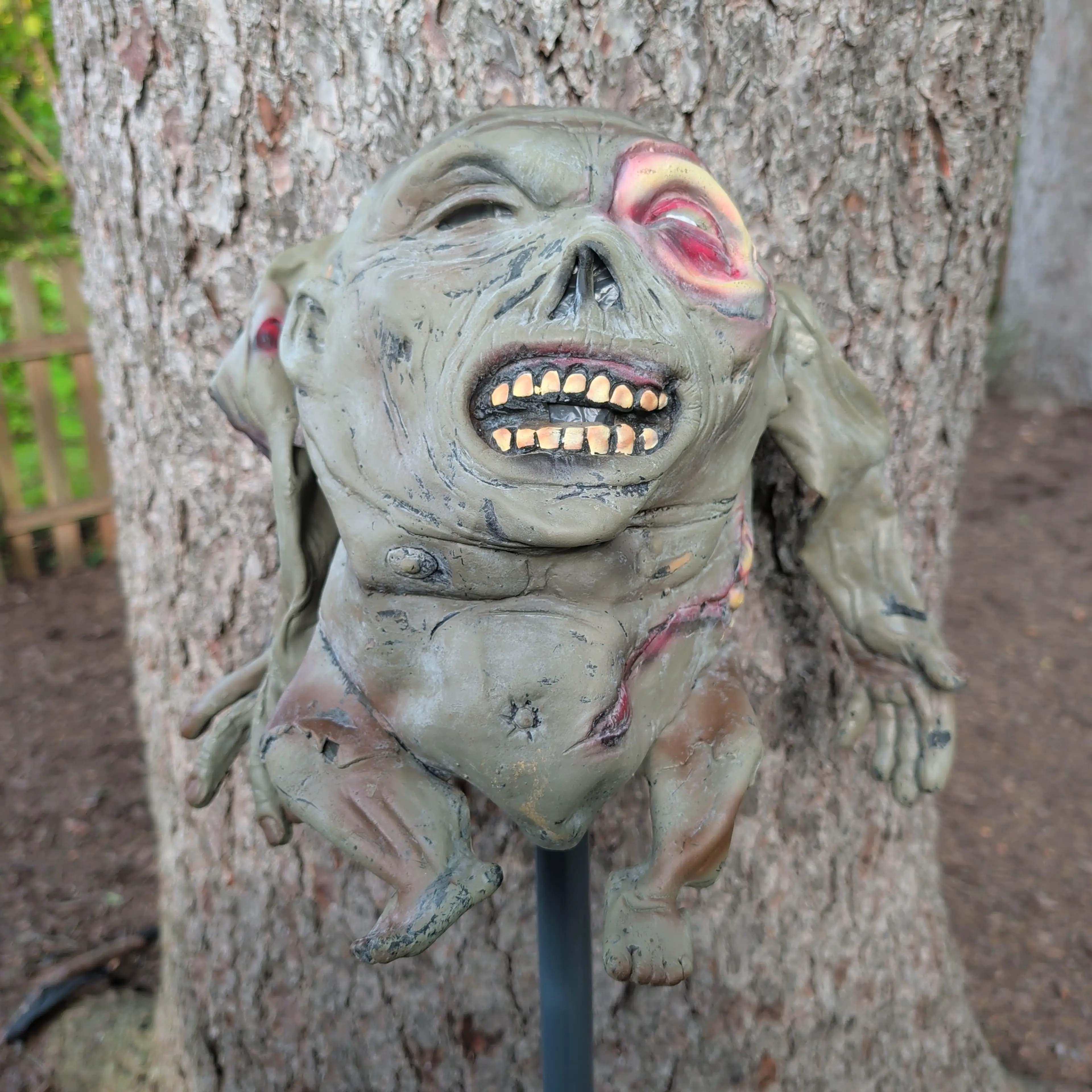 Image 1 of 7