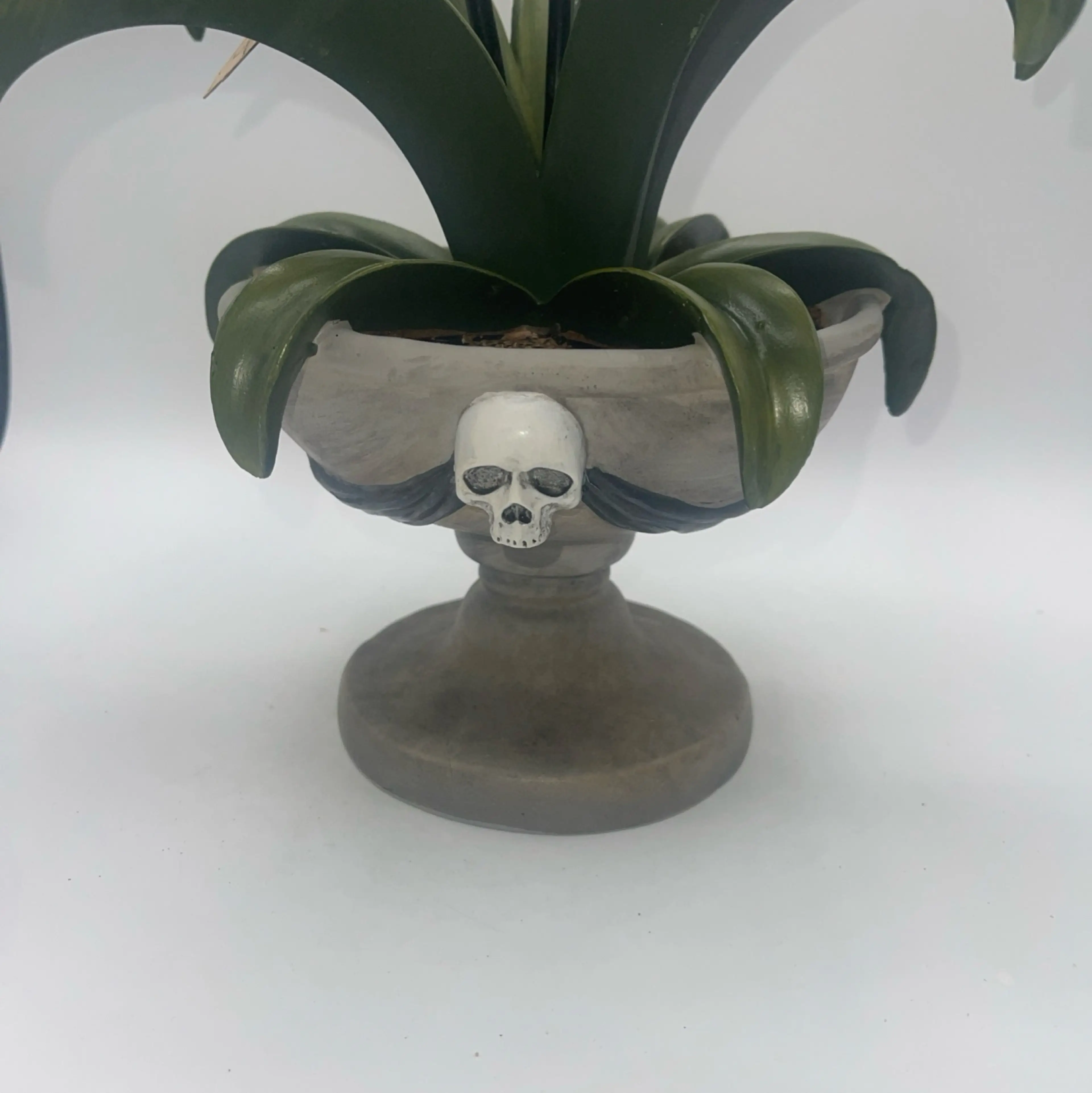 Image 4 of 10