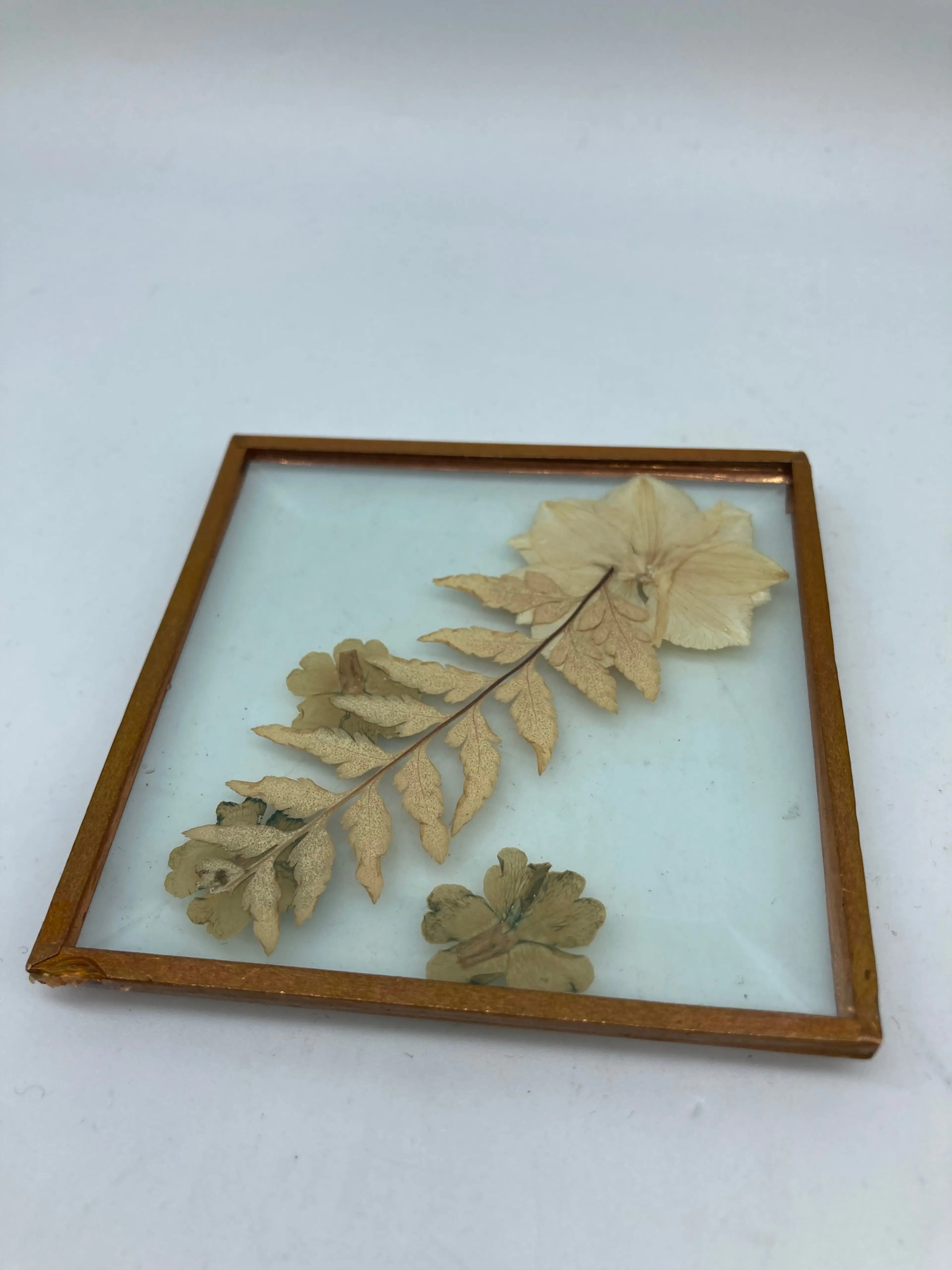 Image 2 of 2