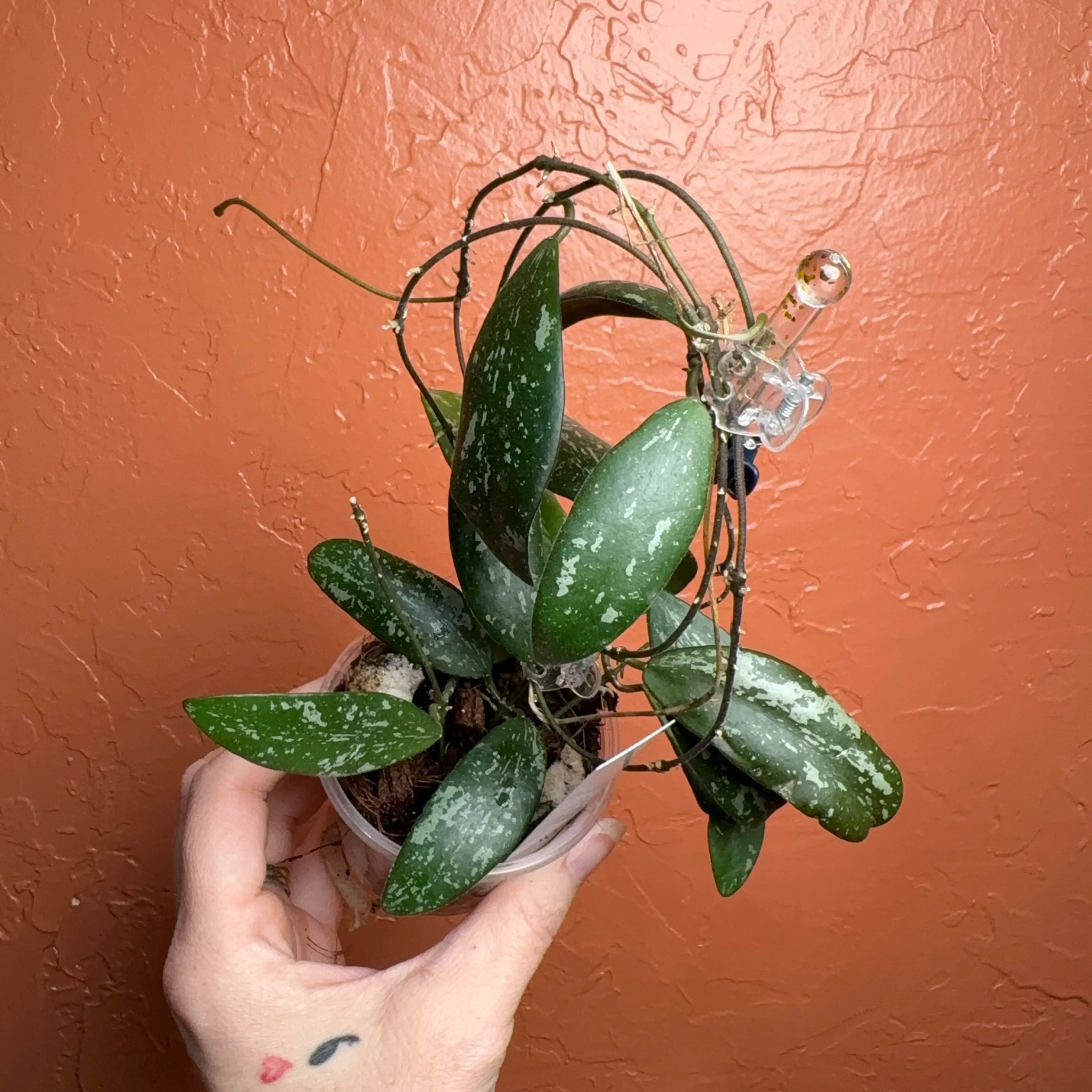 Image 3 of 3