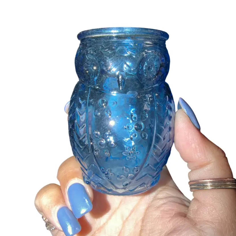 Blue Owl Glass Small Vase
