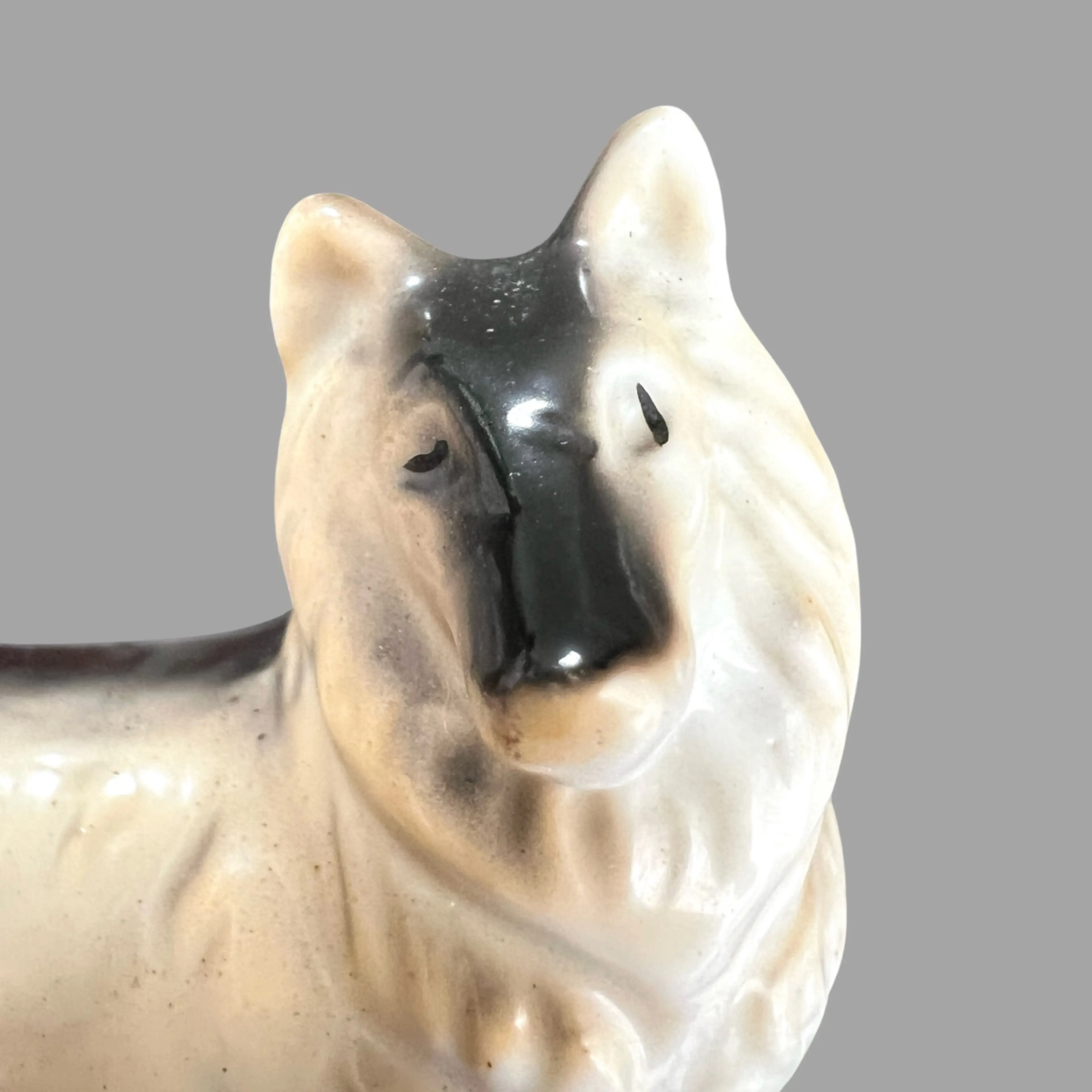 Image 4 of 15
