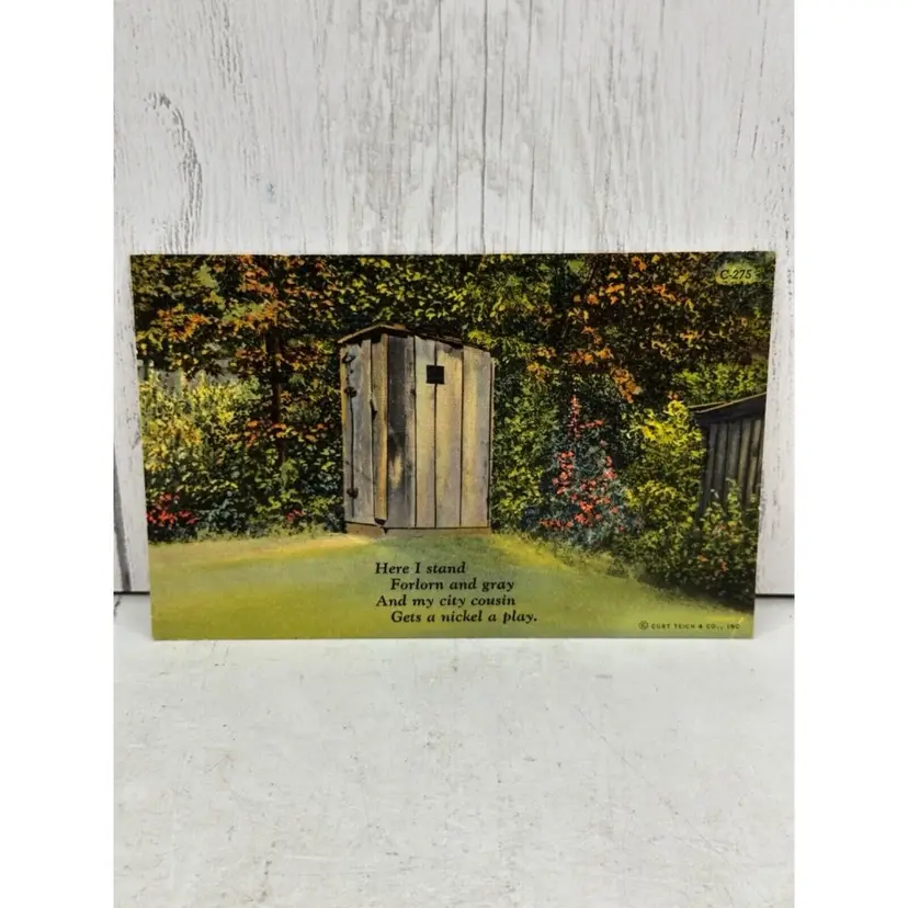 CT Privy Series Forlorn Gray Outhouse Linen Funny Postcard Curt Teich Colortone