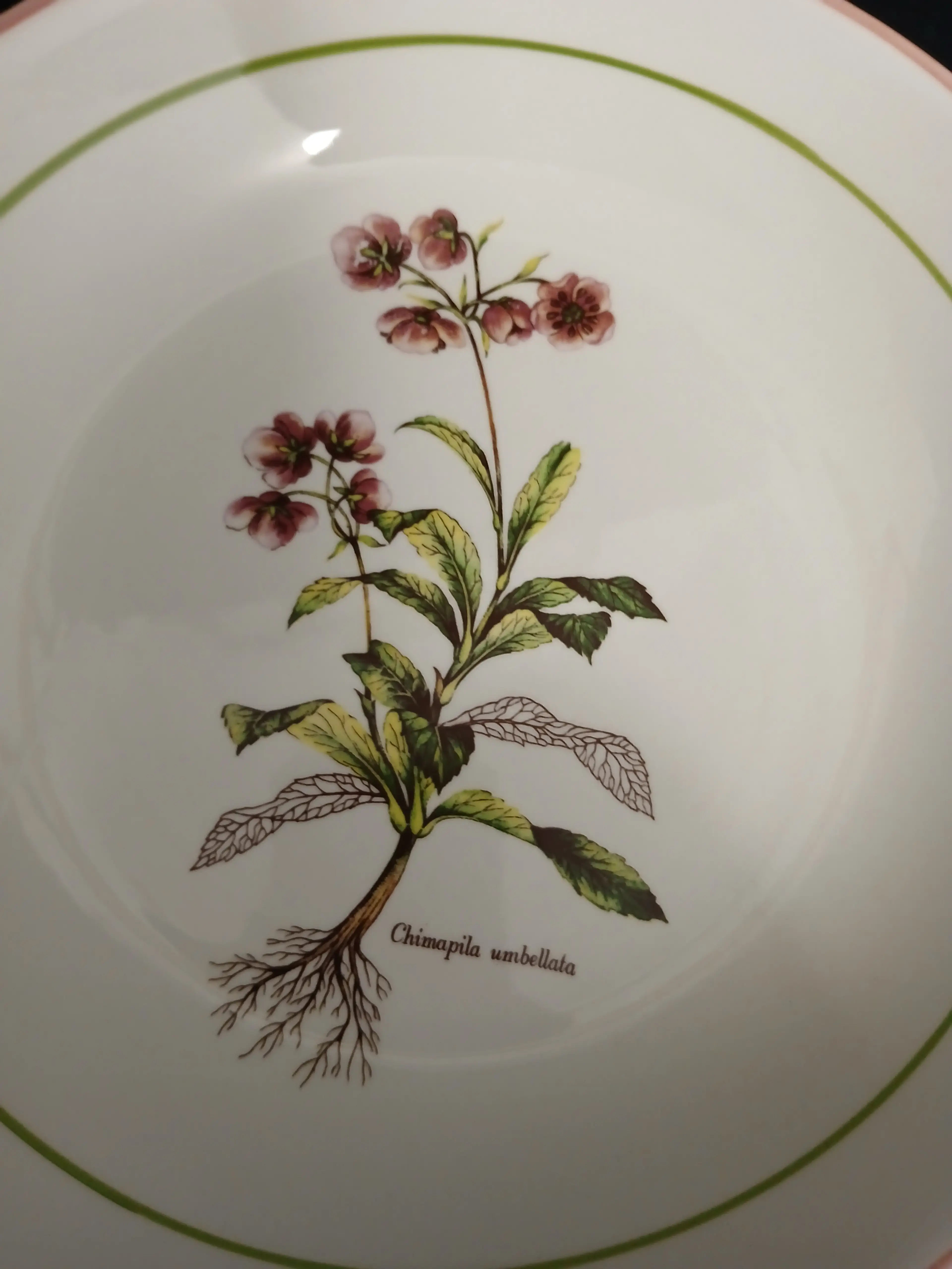 Image 4 of 11