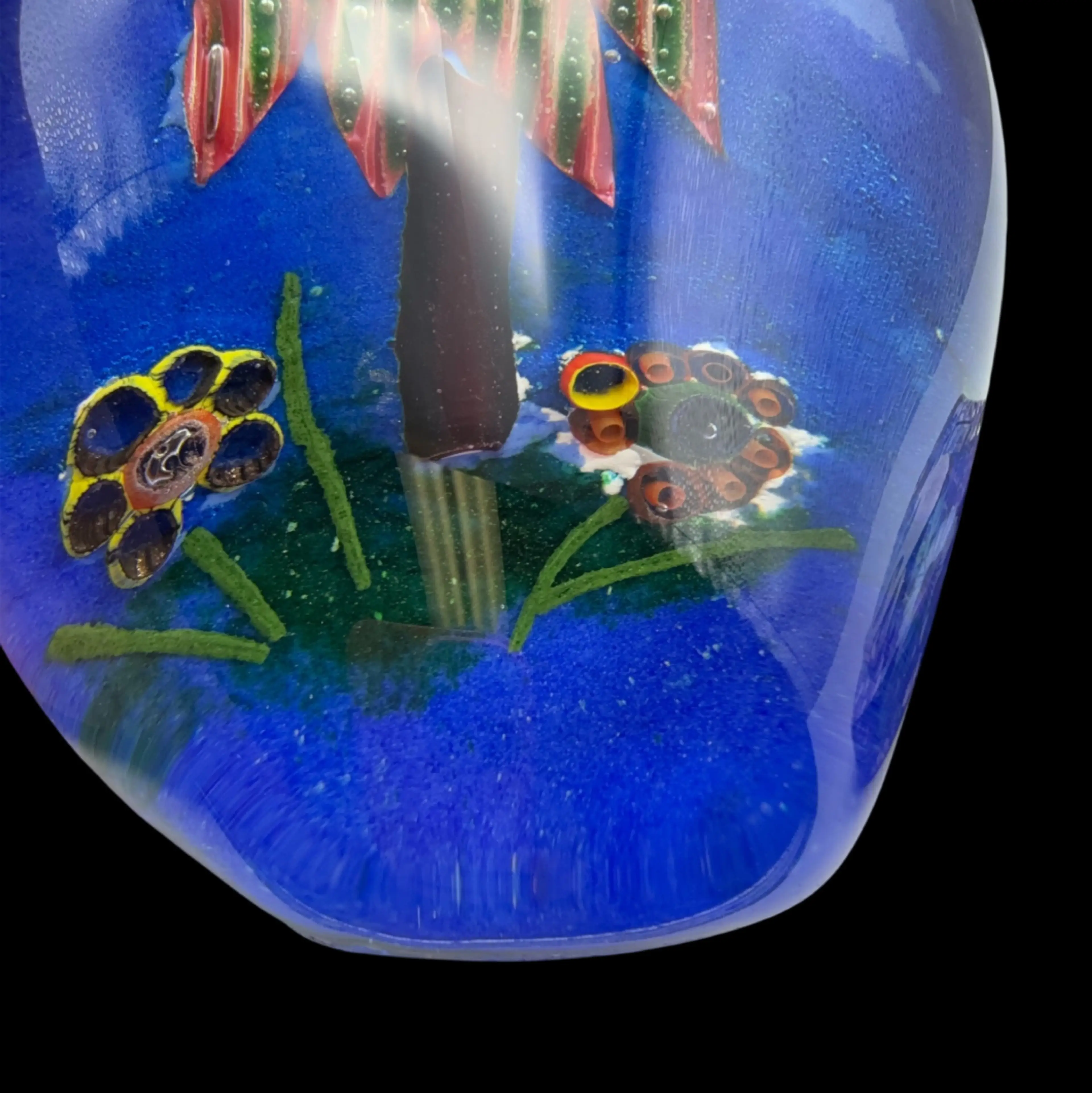 Image 3 of 5