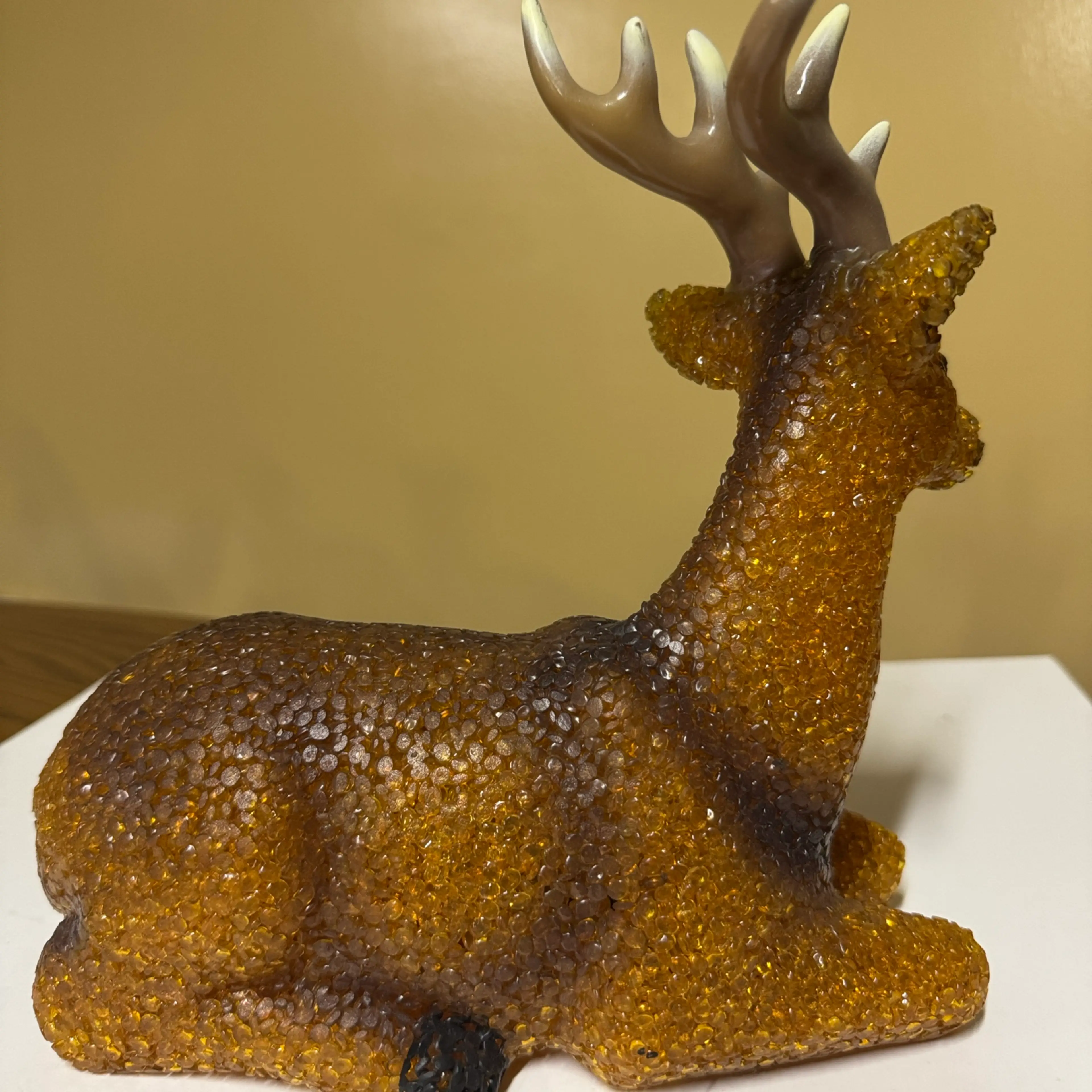 Image 4 of 12