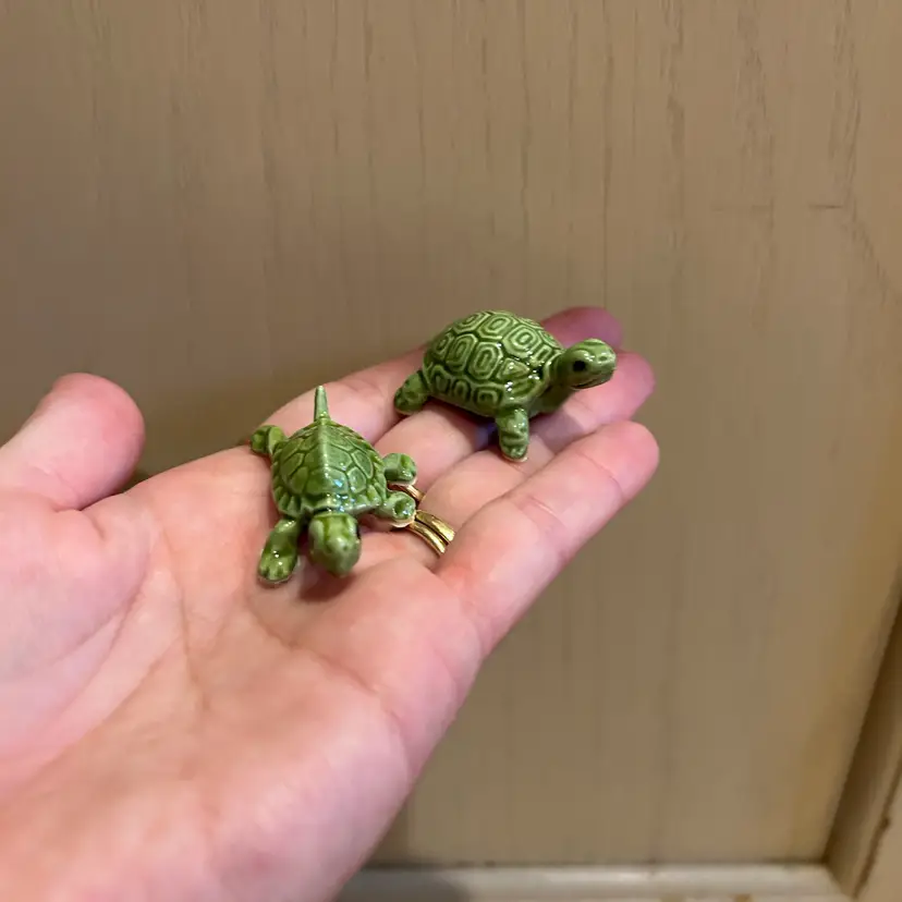 Mama Turtle And Baby