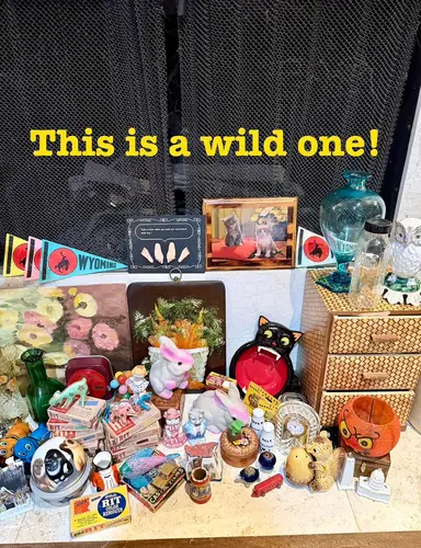 Most Random Show Ever!  Halloween, Flocked Critters, Art, Cats & More! 