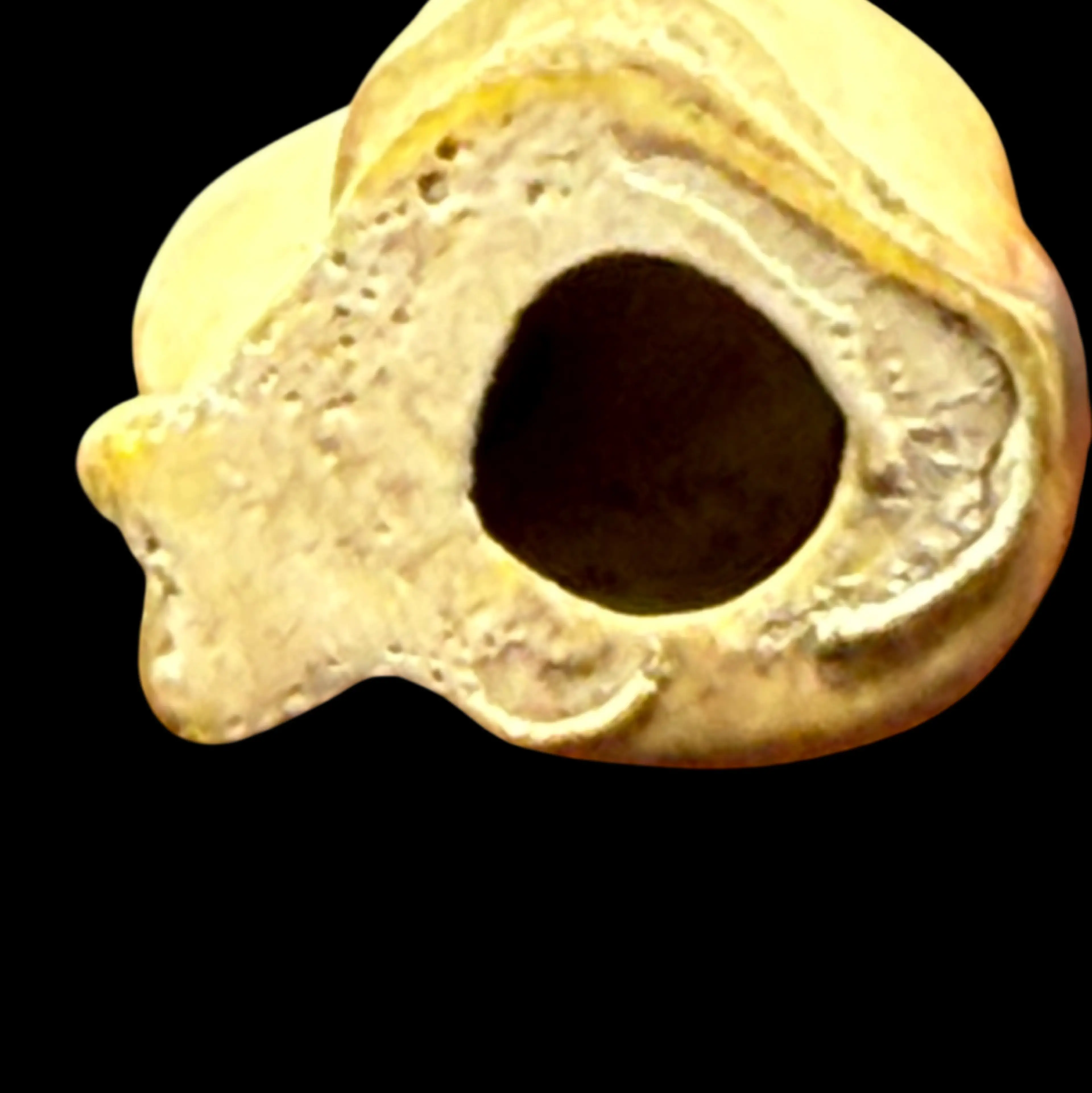 Image 4 of 5